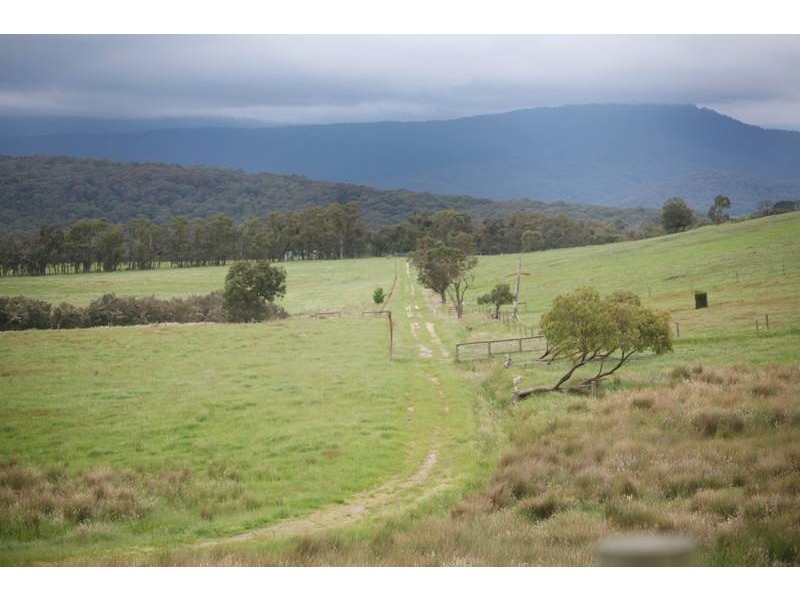 445 Ellis Road, Tonimbuk VIC 3815