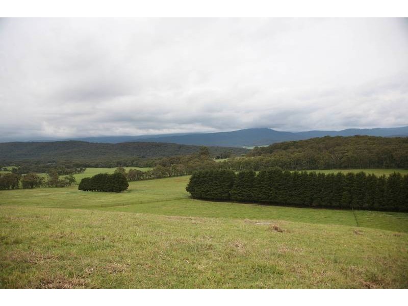 445 Ellis Road, Tonimbuk VIC 3815