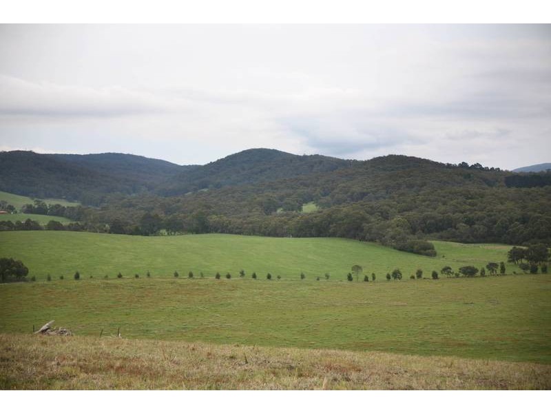 445 Ellis Road, Tonimbuk VIC 3815