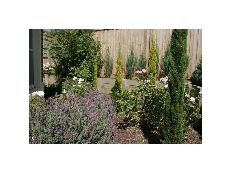 39 Ben Drive, Pakenham VIC 3810