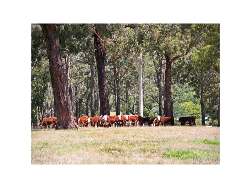 610 Pakenham Road, Pakenham Upper VIC 3810