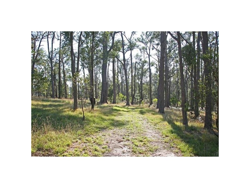 3165 Princes Highway, Bunyip VIC 3815