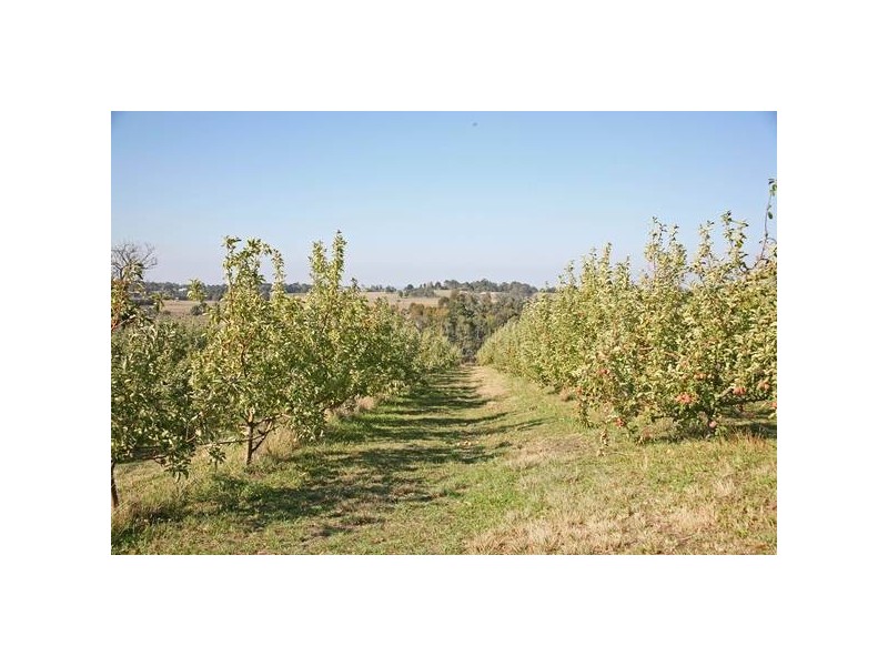 3165 Princes Highway, Bunyip VIC 3815