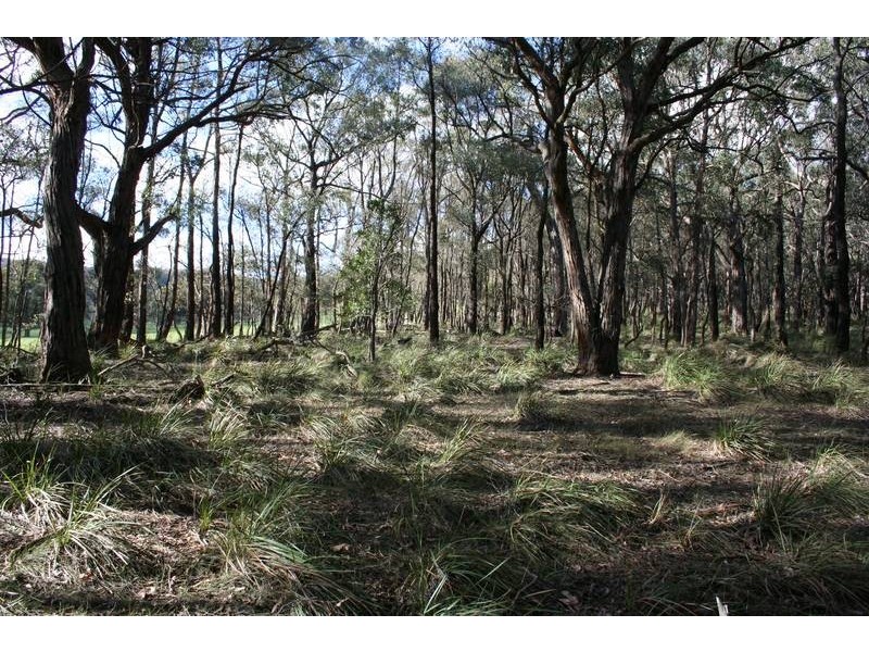 Lot 1, 480 Tynong North Road, Tynong North VIC 3813
