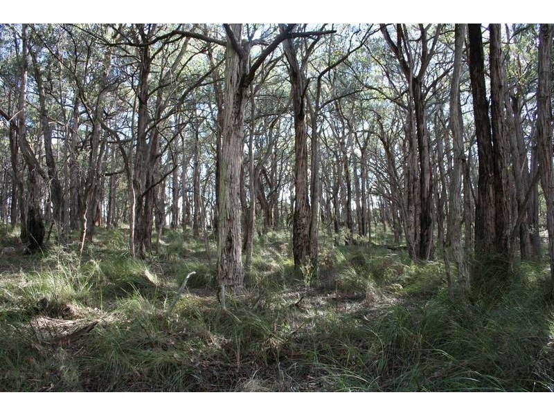 Lot 1, 480 Tynong North Road, Tynong North VIC 3813