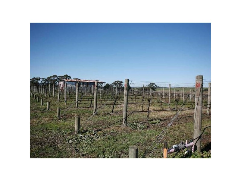 260 Tynong North Road, Tynong North VIC 3813