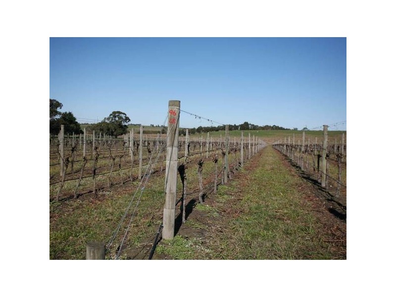 260 Tynong North Road, Tynong North VIC 3813