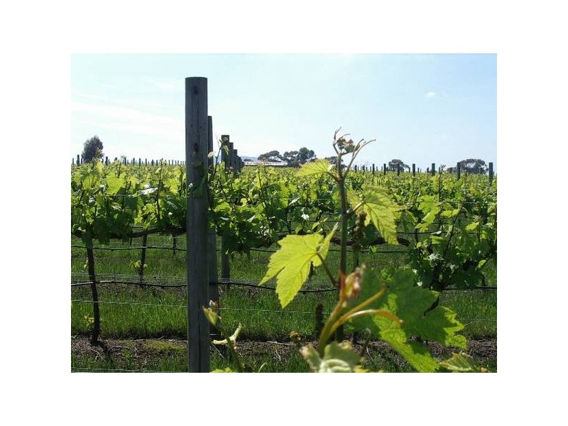 260 Tynong North Road, Tynong North VIC 3813