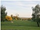 17 Wattletree Road, Bunyip VIC 3815