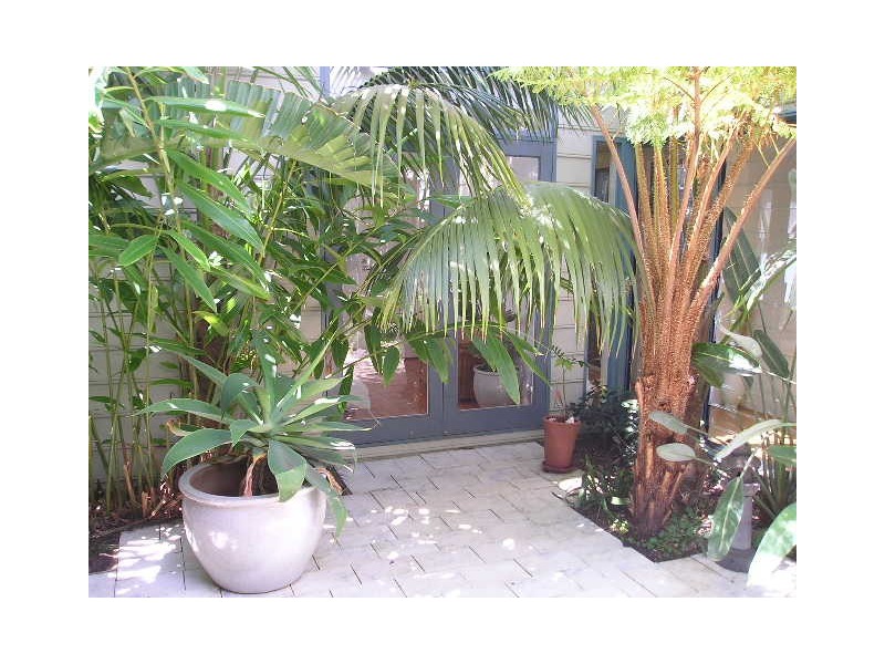 343 Ernest Street, Neutral Bay NSW 2089