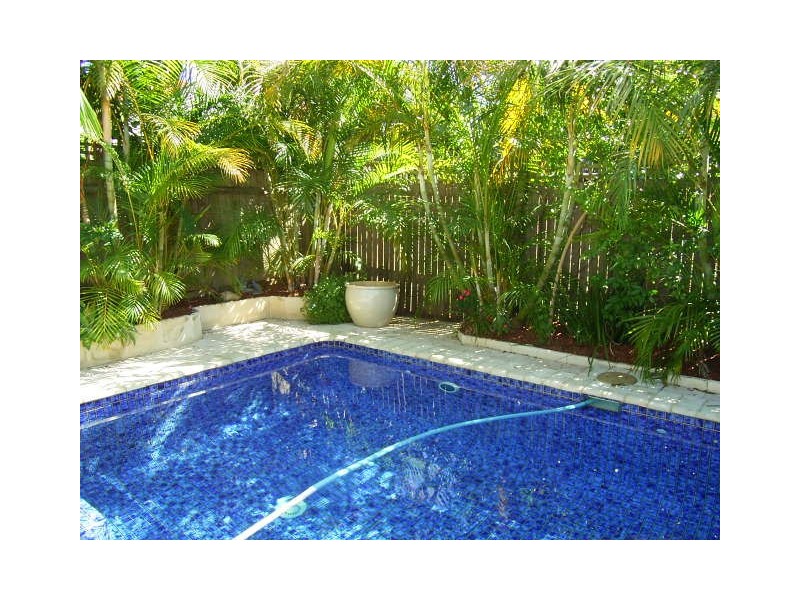 343 Ernest Street, Neutral Bay NSW 2089