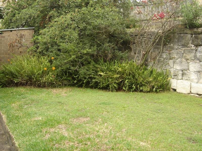 57 Carter Street, Cammeray NSW 2062