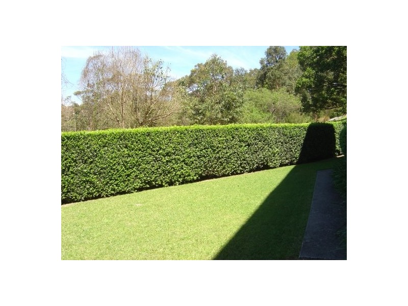 1/3 Churchill Crescent, Cammeray NSW 2062