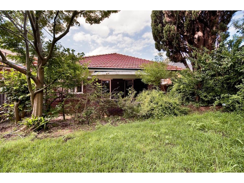 19 Pine Street, Cammeray NSW 2062