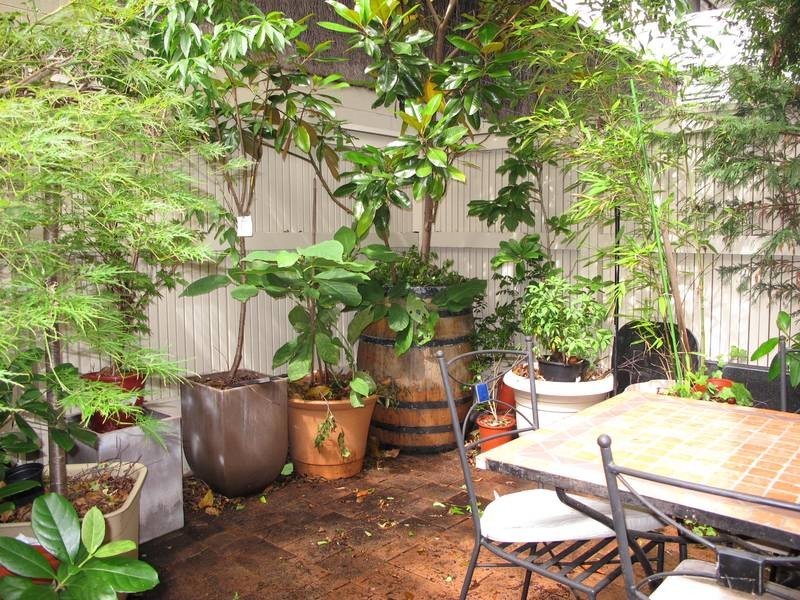 6/2a Cambridge Street, Cammeray NSW 2062