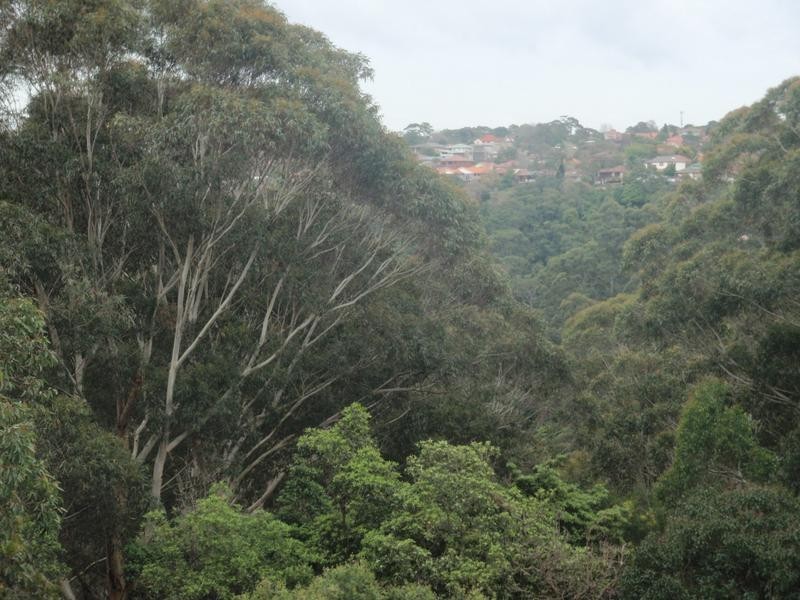 1/564 Miller Street, Cammeray NSW 2062