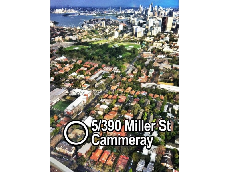 5/390 Miller Street, Cammeray NSW 2062
