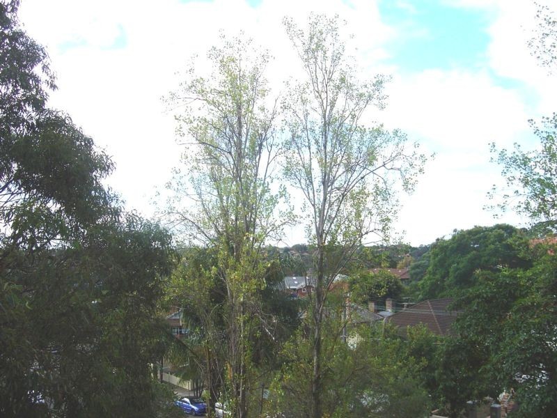 3B/10 Abbott Street, Cammeray NSW 2062