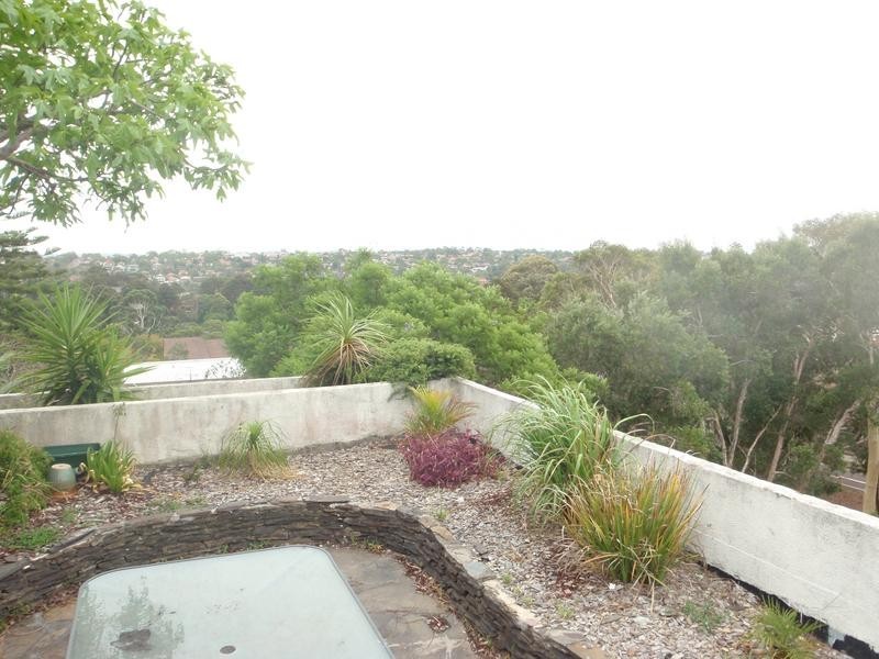 13/22 Jenkins Street, Cammeray NSW 2062