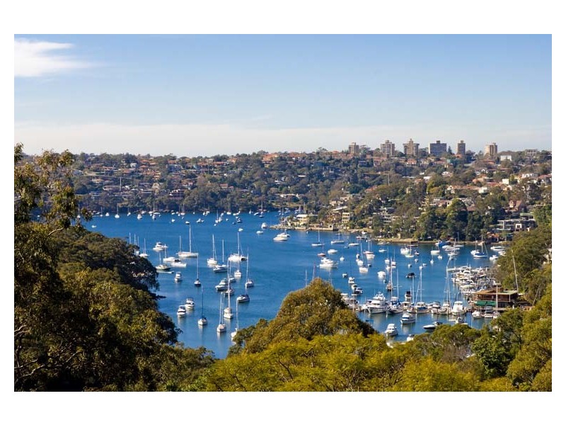 55 Pine Street, Cammeray NSW 2062