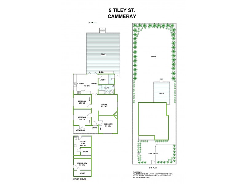 5 Tiley Street, Cammeray NSW 2062 Floorplan