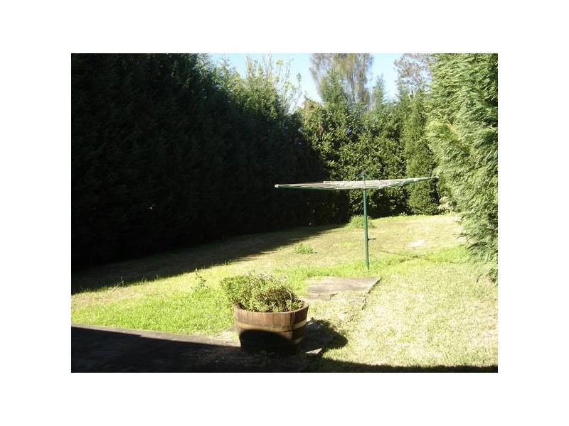 30 Rosewall Street, Willoughby NSW 2068