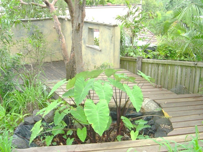 13 Tarnee Street, Ferny Hills QLD 4055