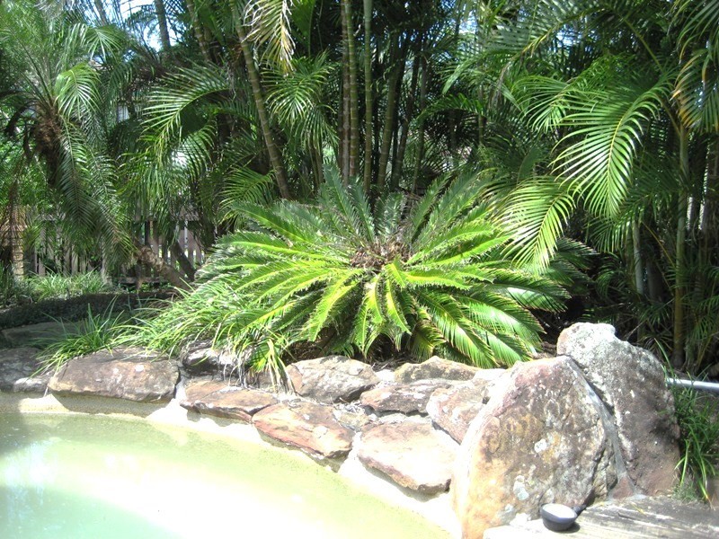 3 Glencloy Street, Ferny Grove QLD 4055