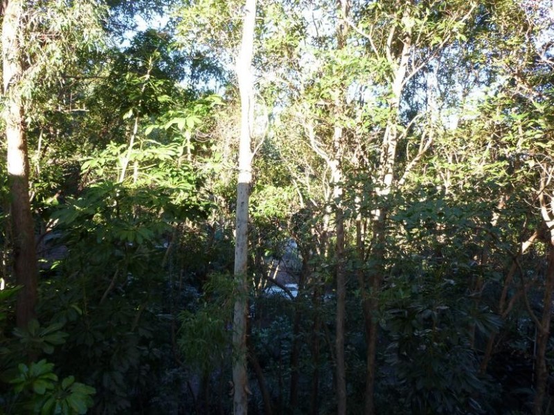 16 Park Rd, Arana Hills QLD 4054