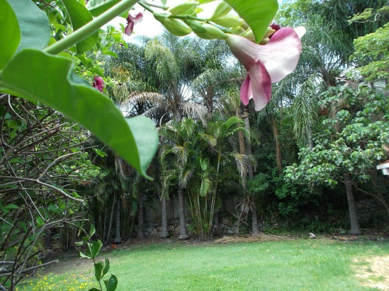 65 Balvenie Street, Keperra QLD 4054