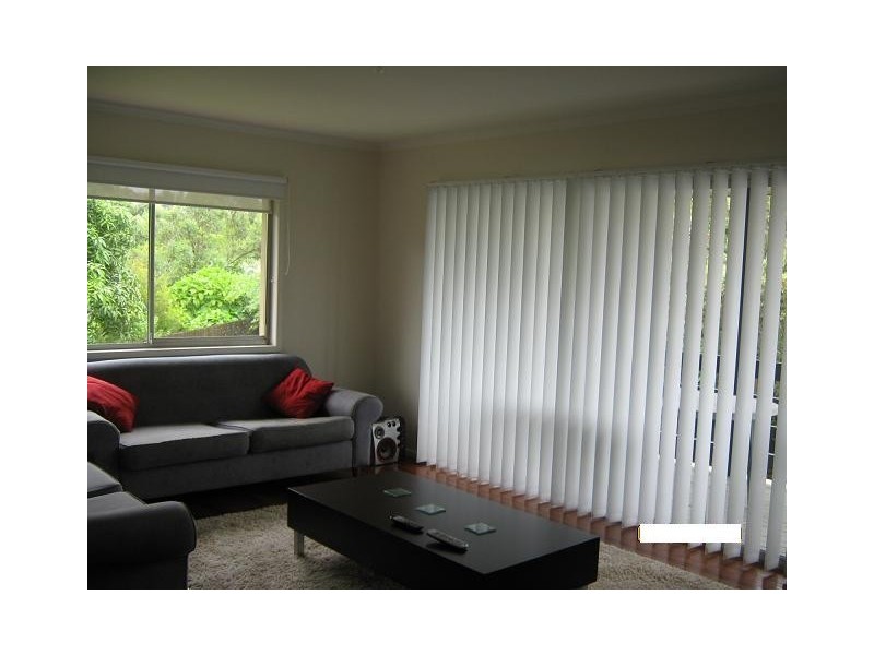 24 Pimelea St, Everton Hills QLD 4053