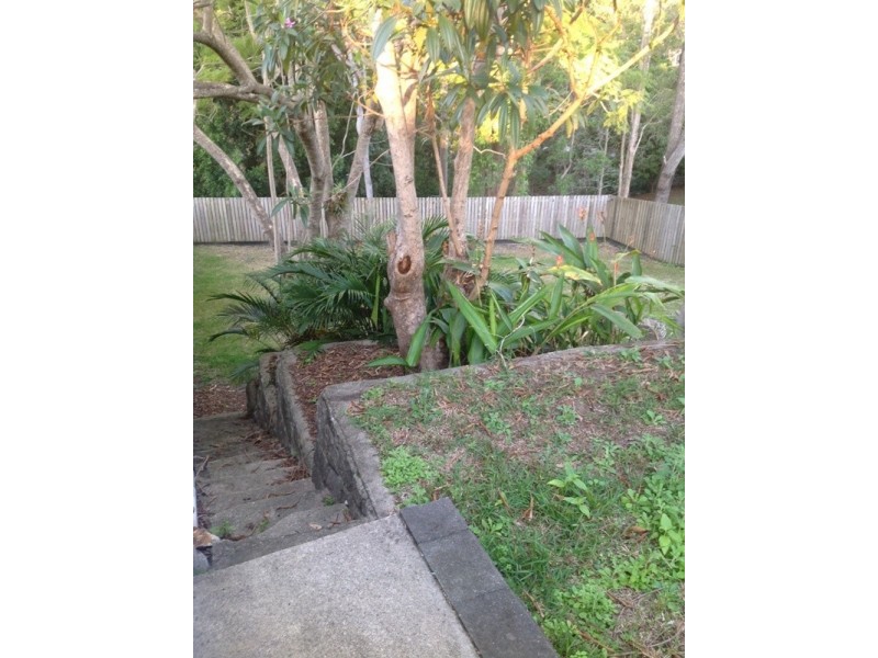 53 Buckland Road, Everton Hills QLD 4053