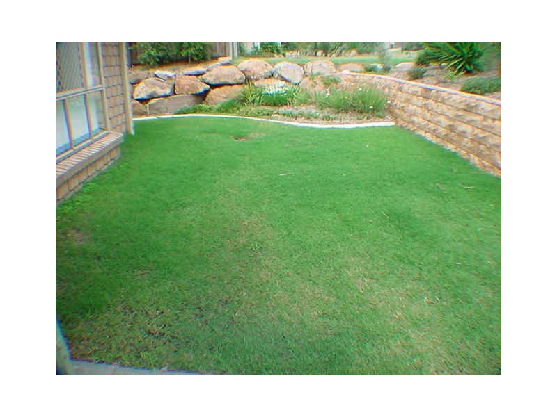 81 Charolais Crescent, Upper Kedron QLD 4055