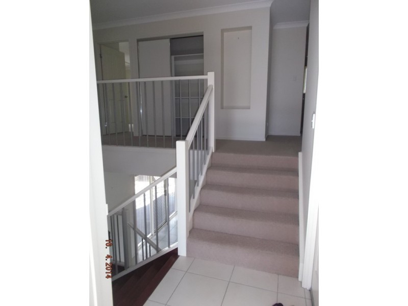 13 Tuckeroo Street, Mcdowall QLD 4053