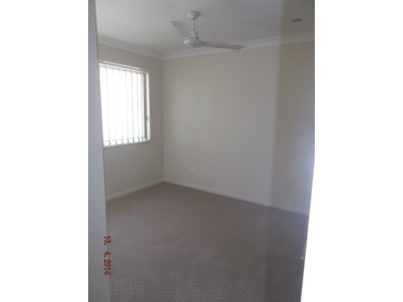 13 Tuckeroo Street, Mcdowall QLD 4053