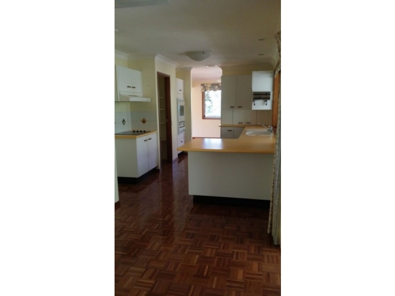 22 Shaun Place, Keperra QLD 4054