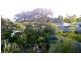 224 Days Road, Grange QLD 4051