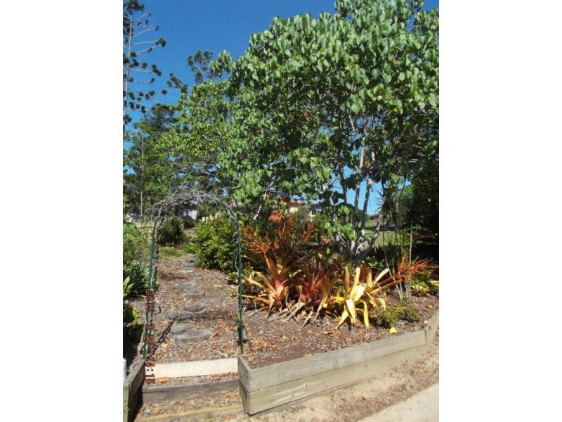 44 Pindari, Ferny Hills QLD 4055