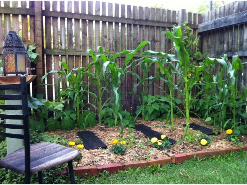 8/5 Bantry Place, Ferny Grove QLD 4055