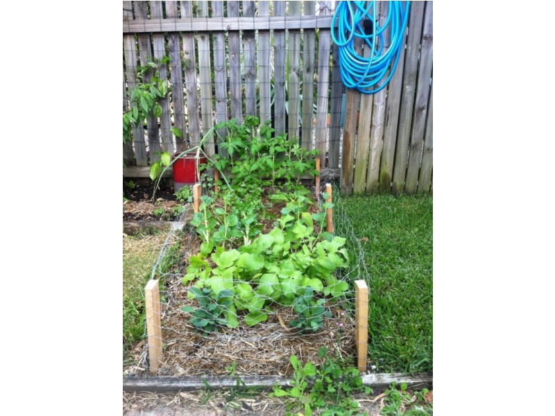 8/5 Bantry Place, Ferny Grove QLD 4055