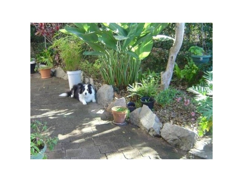 ARALIA STREET, Ferny Hills QLD 4055