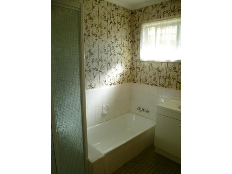 8 Avington Street, Keperra QLD 4054