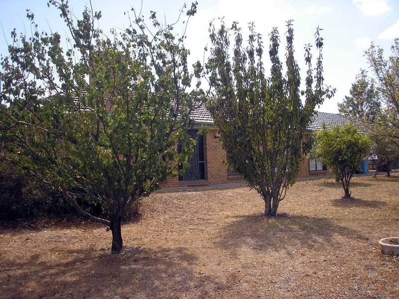 375 Yallambee Road, Clyde VIC 3978