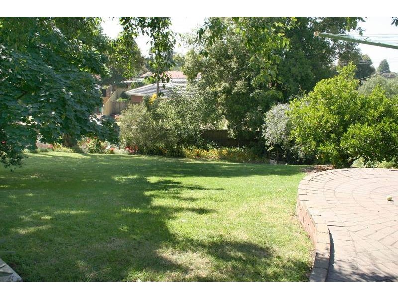 Junction Village VIC 3977