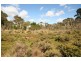 Cannons Creek VIC 3977