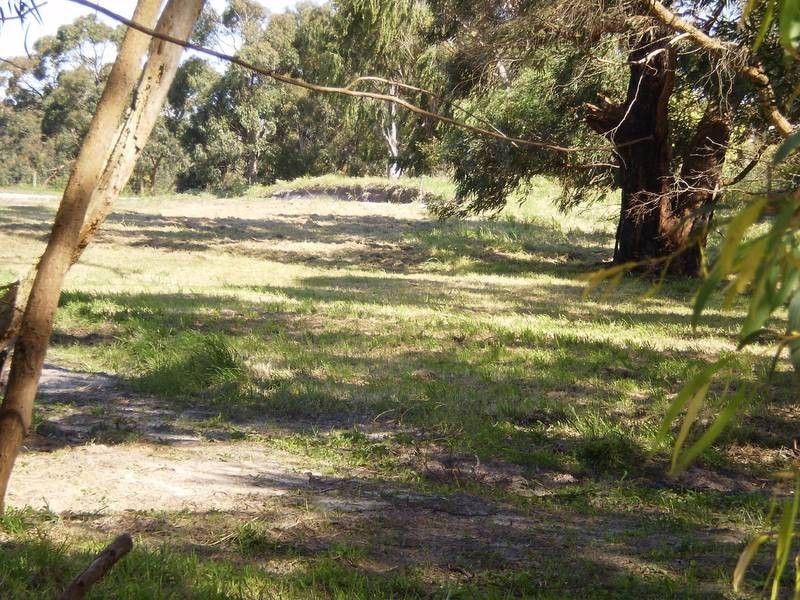 Langwarrin VIC 3910