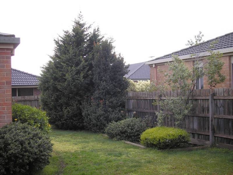 28 Merrijig Avenue, Cranbourne VIC 3977