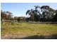 Cranbourne South VIC 3977