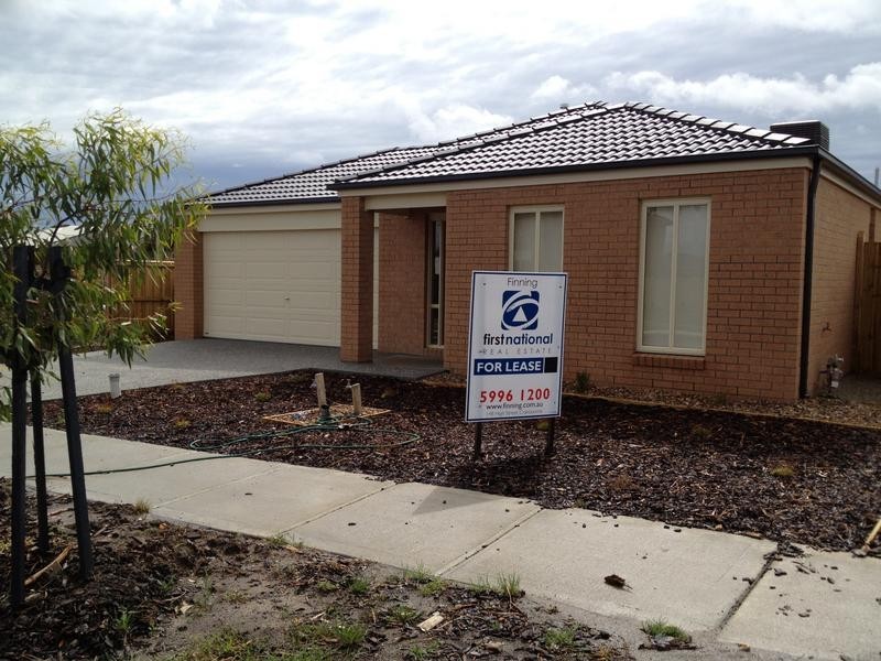 8 Rock Daisy Drive, Cranbourne West VIC 3977