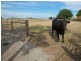 Tooradin VIC 3980